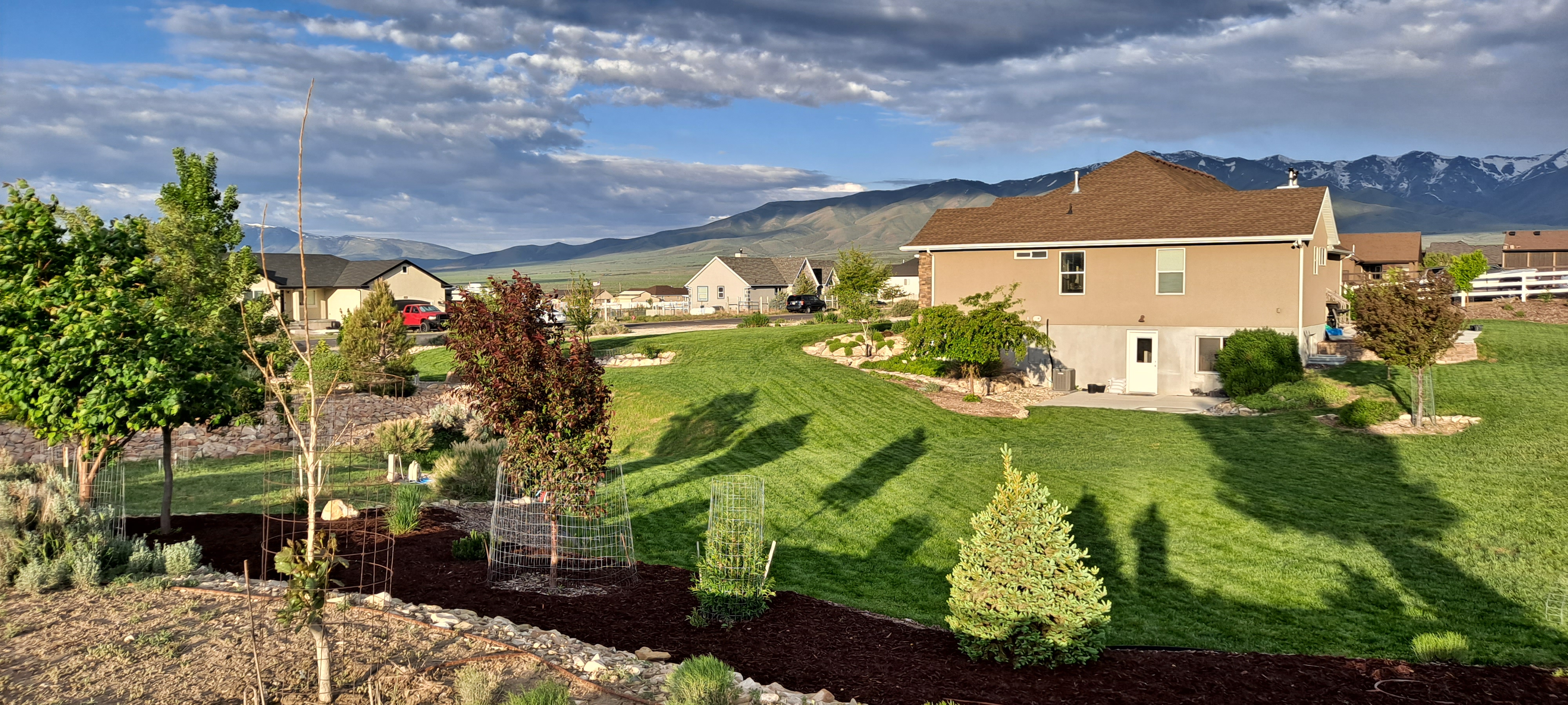 Landscaping Project 6